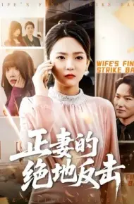 正妻的绝地反击