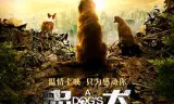 忠犬流浪记
