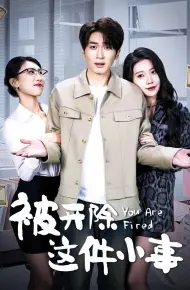 被开除这件小事