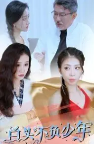 白头不负少年