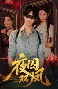 夜囚双凤