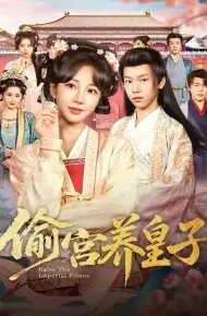 偷宫养皇子