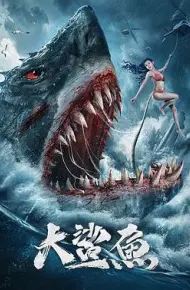 大鲨鱼