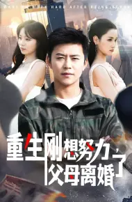 重生刚想努力父母离婚了