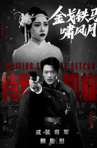 金戈铁马啸风月
