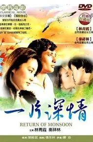 一片深情