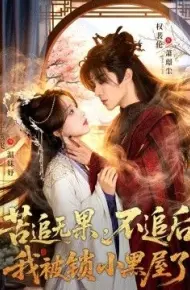 苦追无果，不追后我被锁小黑屋了
