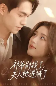 祁爷别找了，夫人她进城了
