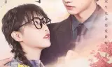 风起云舒
