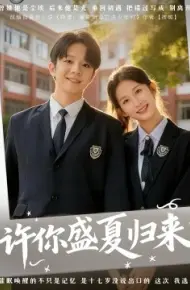 许你盛夏归来
