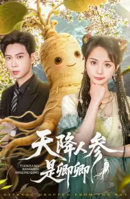 天降人参是卿卿