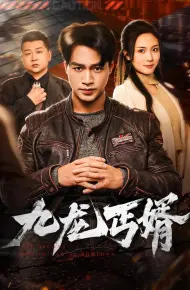 九龙丐婿