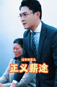 过年回家之正义薪途