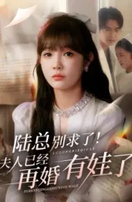 陆总别求了！夫人已经再婚有娃了