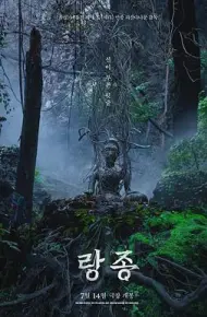 灵媒