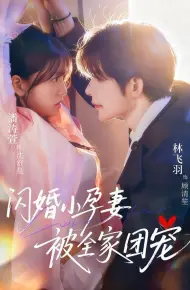 闪婚小孕妻被全家团宠