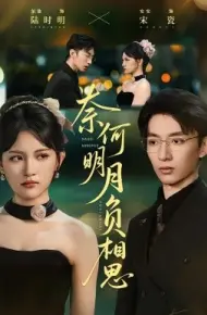 奈何明月负相思