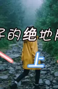 妻子的绝地反攻