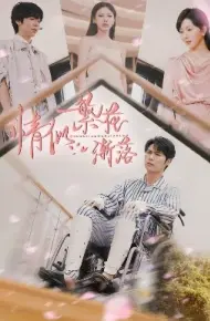 情似繁花渐落