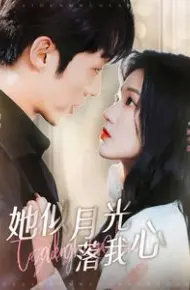 她似月光落我心