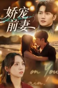 娇宠前妻