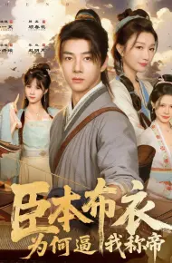 臣本布衣，为何逼我称帝