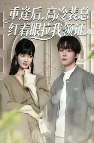 重逢后，高冷裴总红着眼拉我领证