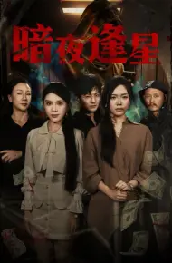 暗夜逢星