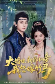 大婚日，新郎纳妾我怒嫁竹马