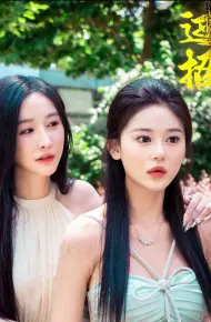 过招 短剧版