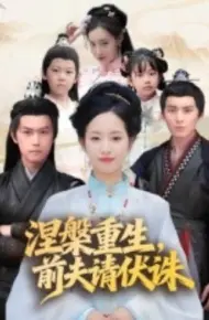涅槃重生,前夫请伏诛