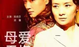 母爱无悔