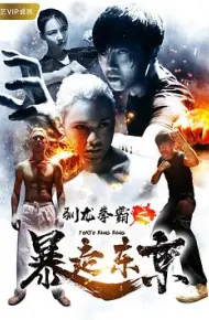 驯龙拳霸之暴走东京