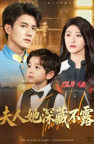 夫人她深藏不露