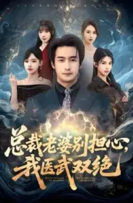 总裁老婆别担心，我医武双绝