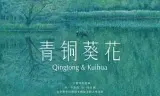 青铜葵花（预告片）