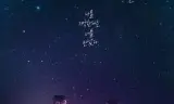 狐狸新娘星