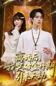 离婚后，我突破金丹期，引来天劫