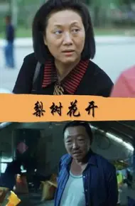 梨树花开