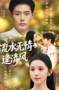 流水无情逢清风