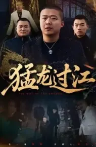 猛龙过江