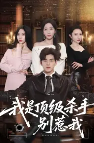 我是顶级杀手，别惹我
