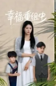 幸福重组中