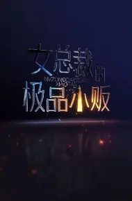 女总裁的极品小贩