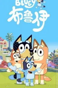 布鲁伊第一季