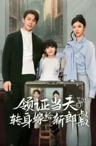 领证当天转身嫁给新娘叔叔(帅哥总裁上门带娃)