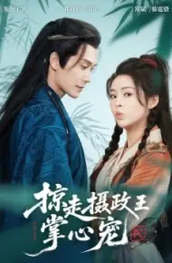 掠走摄政王掌心宠