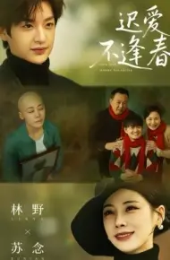 迟爱不逢春
