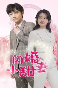 闪婚小甜妻