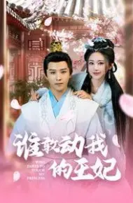 谁敢动我的王妃